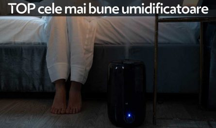 TOP cele mai bune umidificatoare