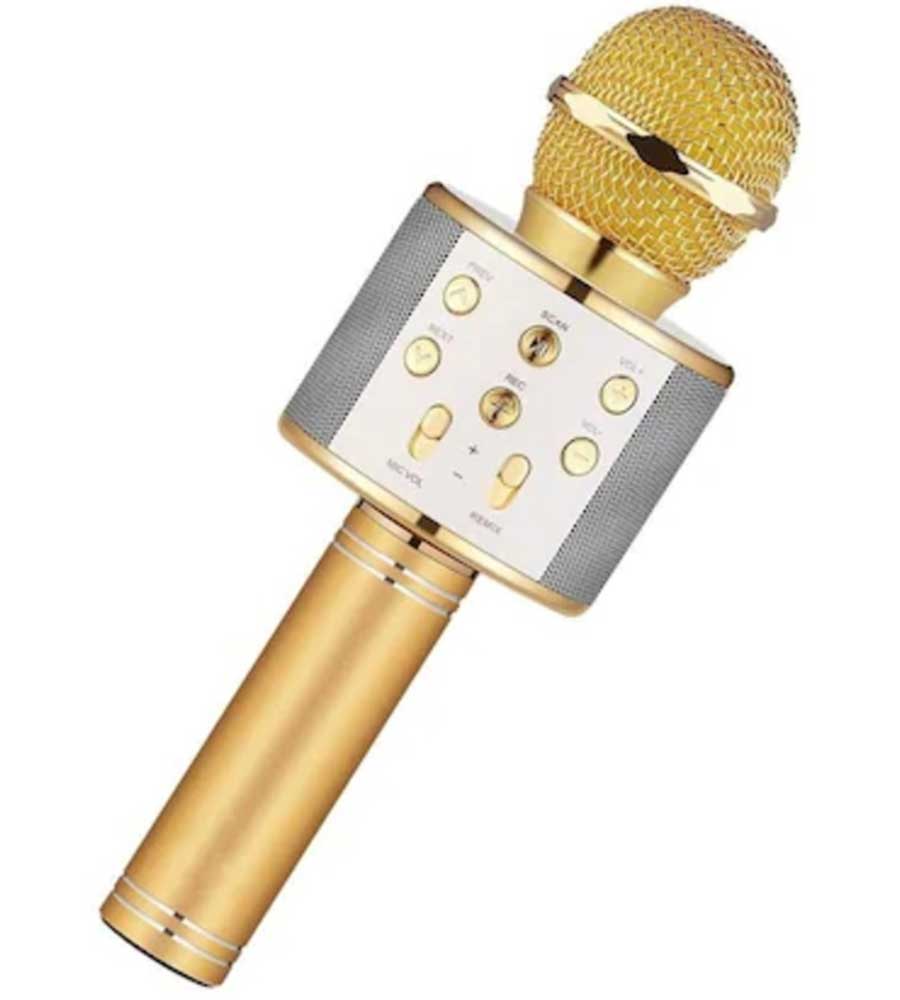 Microfon Karaoke cu bluetooth și boxă