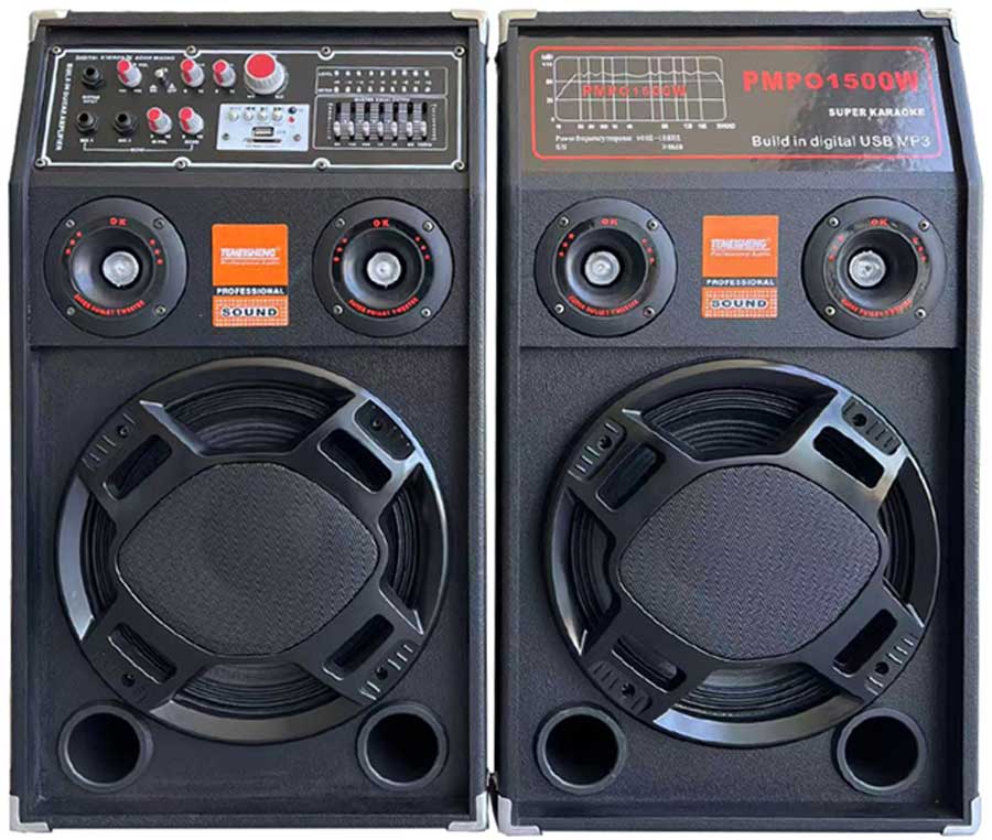 Boxe active profesionale Smart Bass 284