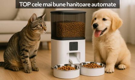 TOP cele mai bune hrănitoare automate de câini și pisici