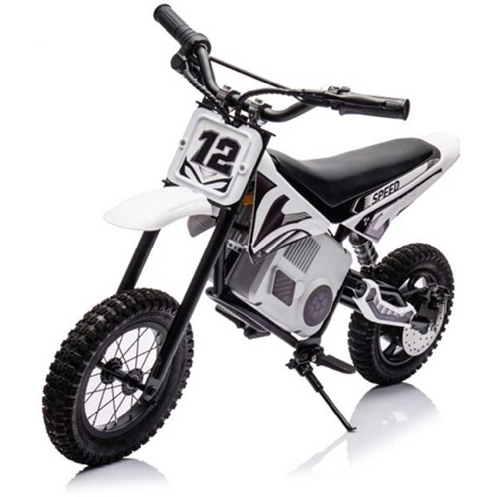 Motocicletă electrică Lean A9901